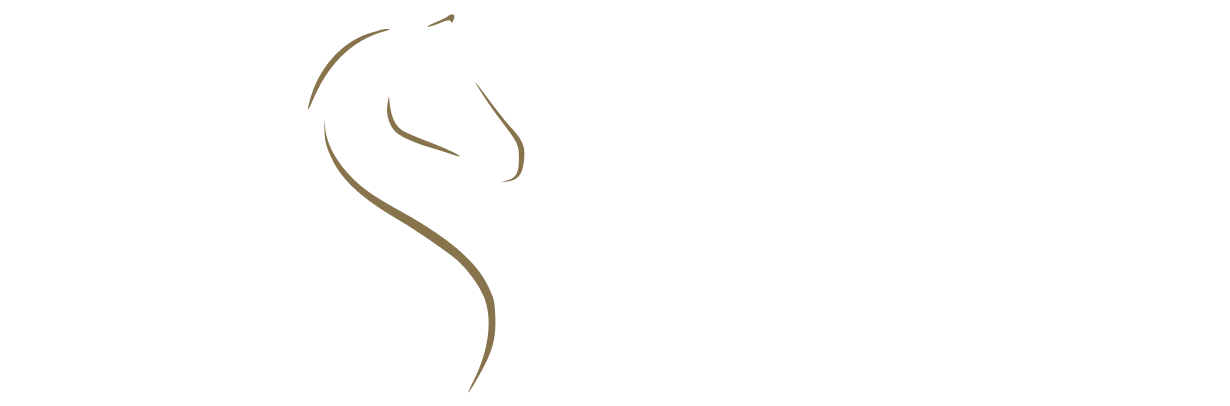 je-horses.com